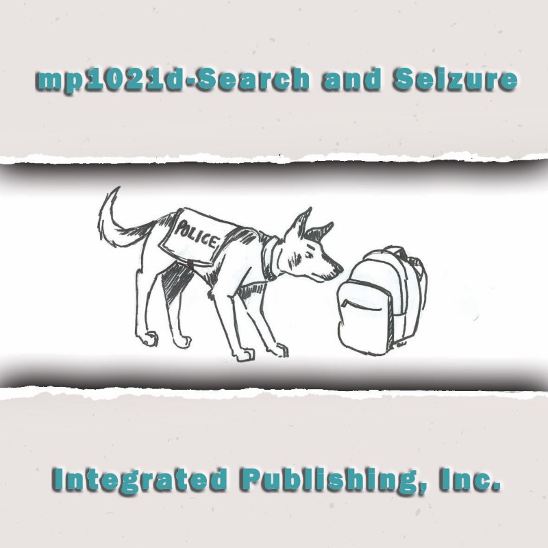 Search and seizure